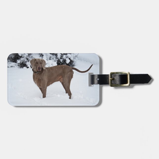 Weimaraner im Winter Gepäckanhänger (Vorderseite horizontal)
