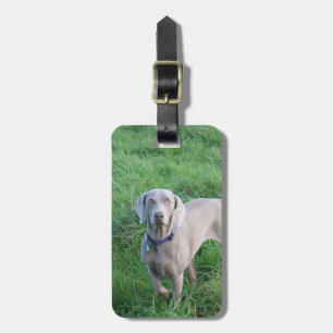 Weimaraner Liebhaber-Gepäckanhänger Gepäckanhänger