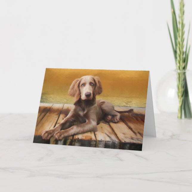 Weimaraner (Longhair) Grußkarte Karte (Vorderseite)