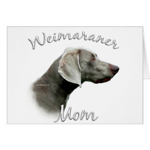 Weimaraner Mama 2