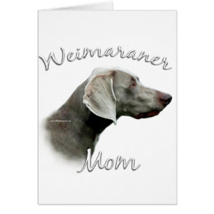 Weimaraner Maman 2