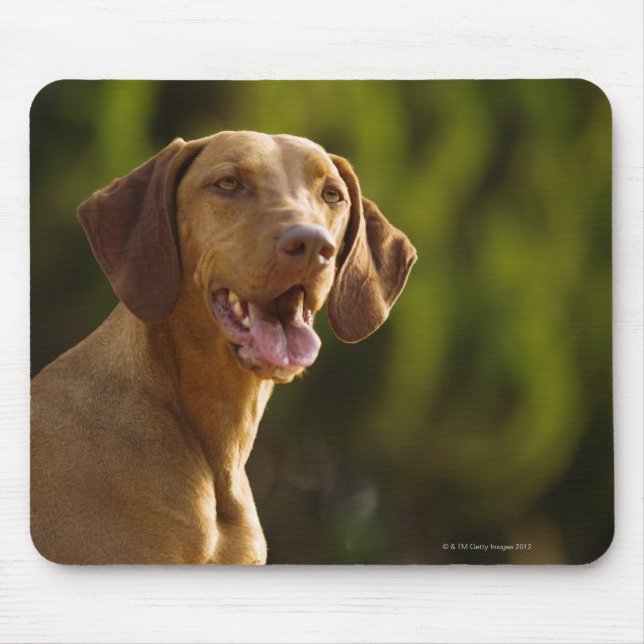 Weimaraner Mousepad (Vorne)