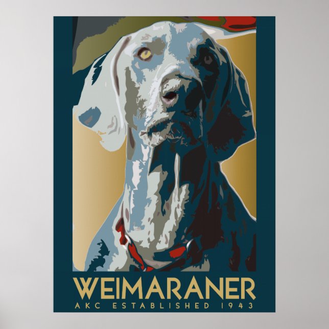 Weimaraner Nation: HUNDEZUCHTVERBAND Weimaraner Poster (Vorne)