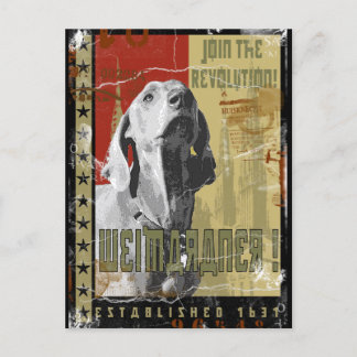 Weimaraner Nation : Vintag Weimaraner! Postkarte