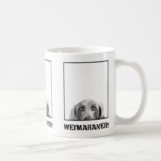 Weimaraner Nation: Weimaraner in einer Kaffeetasse (Rechts)