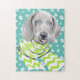 Weimaraner niedlicher Welpe mit Schal Dog Portrait