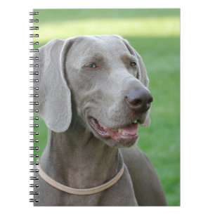 Weimaraner Notizblock