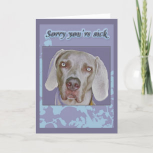Weimaraner obtenir une carte de bien