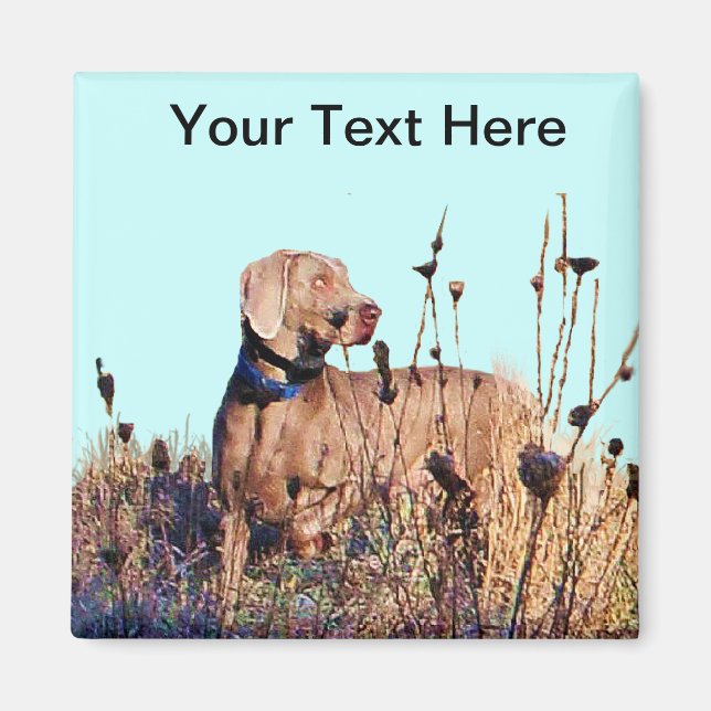 Weimaraner on Retrieve Magnet (Vorne)