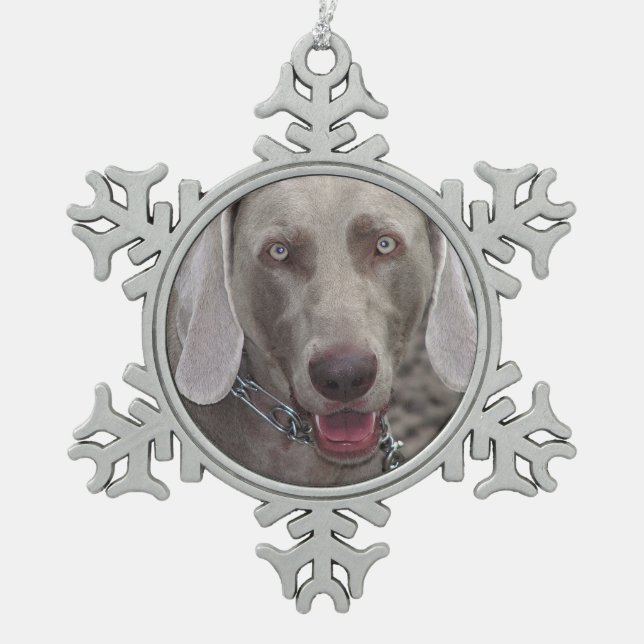 Weimaraner Pewter Snowflake Ornament (Vorderseite)