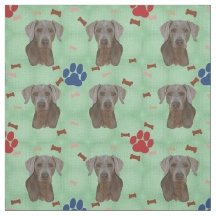 Weimaraner Portrait