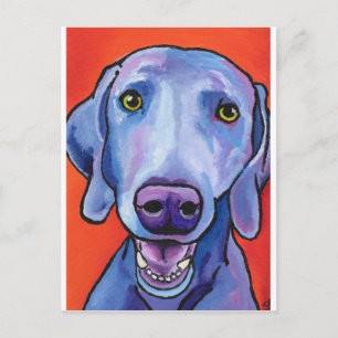 Weimaraner Postkarte