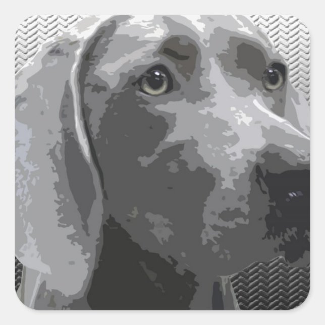 Weimaraner Quadratischer Aufkleber (Vorderseite)