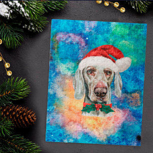 Weimaraner-Rassehund Weihnachten