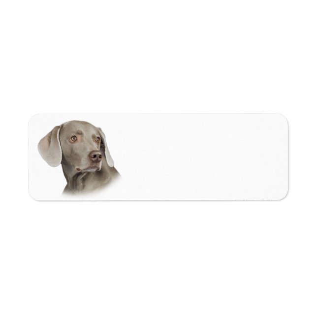 Weimaraner Rücksendeadresse (Vorne)
