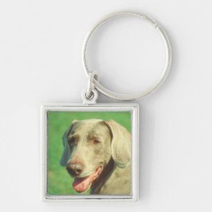 Weimaraner Schlüsselanhänger
