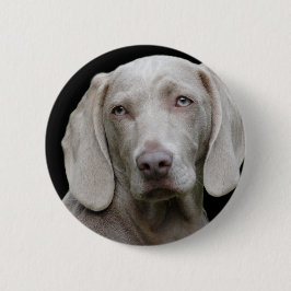 Weimaraner Silver Gray Button