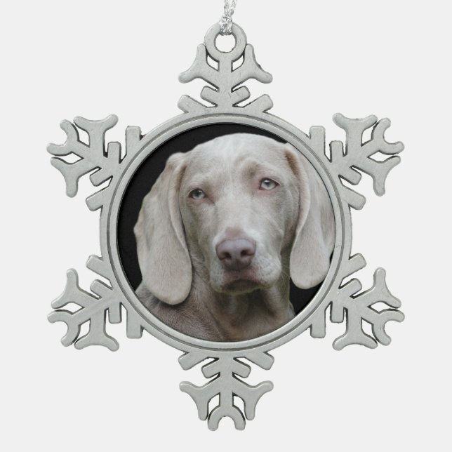 Weimaraner Silver Gray Schneeflocken Zinn-Ornament (Vorderseite)