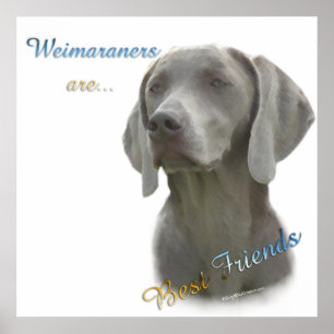 Weimaraner sind Best Friends Poster