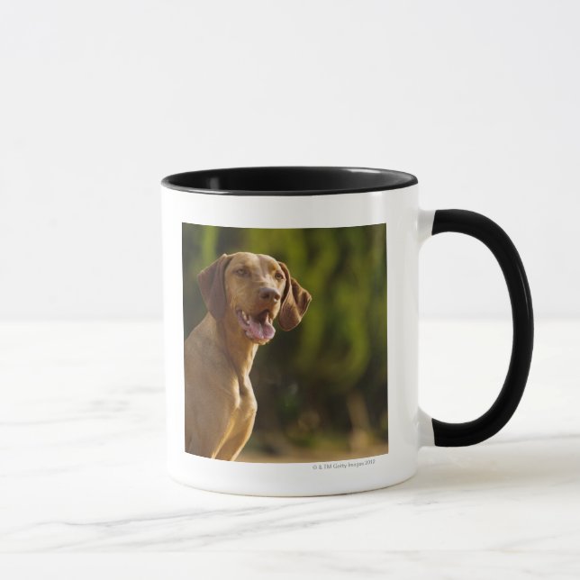 Weimaraner Tasse (Rechts)