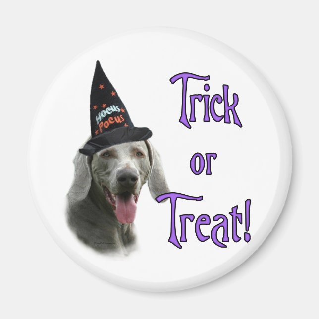 Weimaraner Trick Magnet (Vorne)