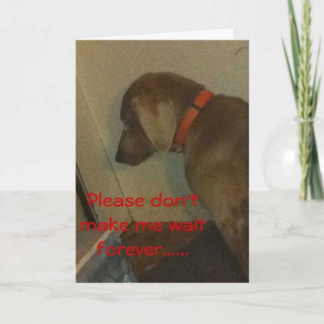 Weimaraner Valentine Feiertagskarte (Vorderseite)