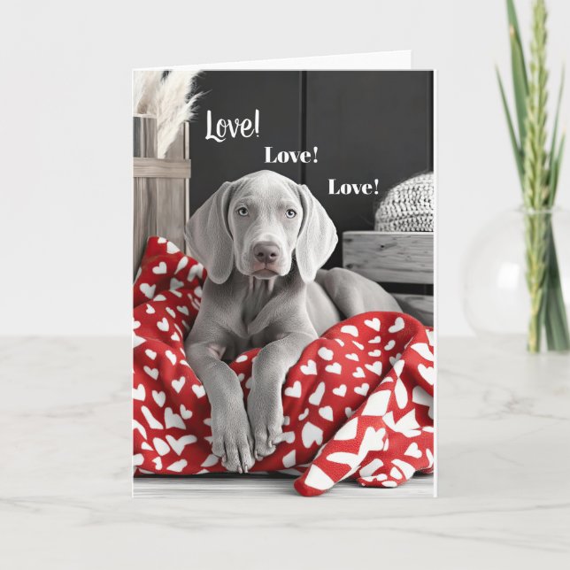 Weimaraner Valentinkarte Dankeskarte (Vorderseite)