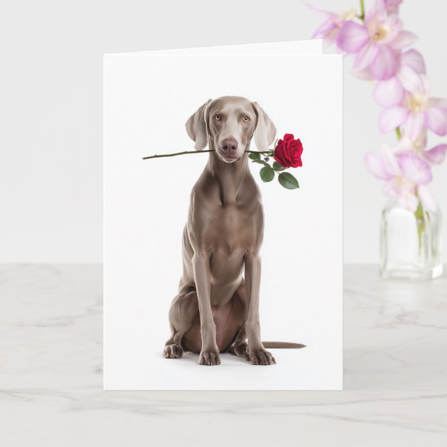 Weimaraner Valentinstag Karte (Orchidee)