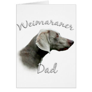 Weimaraner Vater 2