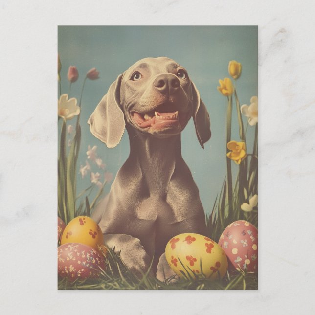 Weimaraner Vintag Ostern Postkarte (Vorderseite)