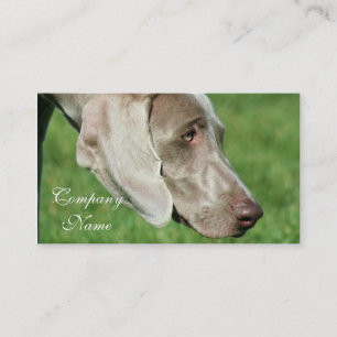 Weimaraner Visitenkarten Visitenkarte