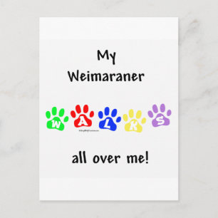 Weimaraner Walks Postkarte