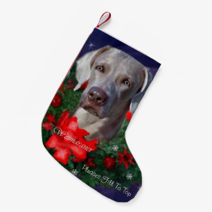 Weimaraner Weihnachten Kleiner Weihnachtsstrumpf