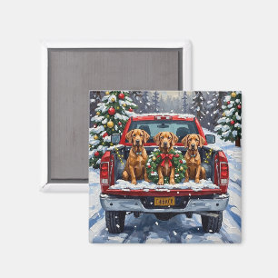 Weimaraner Weihnachten Rotes Lastwagen Ferien Magnet