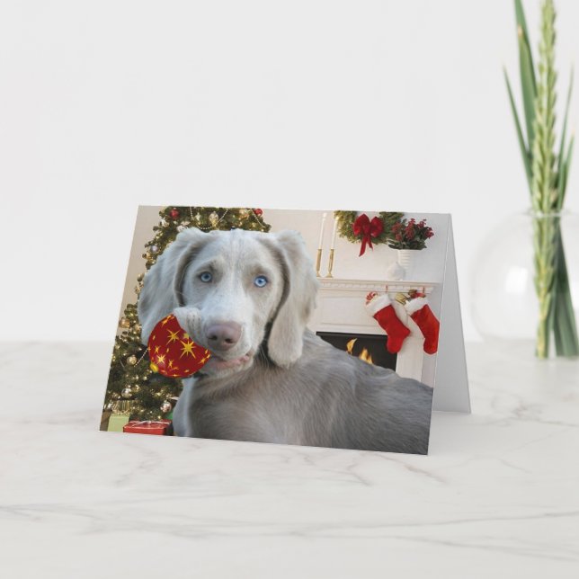 Weimaraner Weihnachtsverzierungskarten Feiertagskarte (Vorderseite)