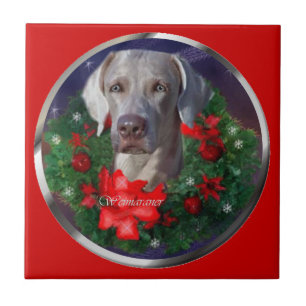 Weimaraner Weihnachtszeit Fliese