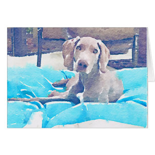 Weimaraner Welpe
