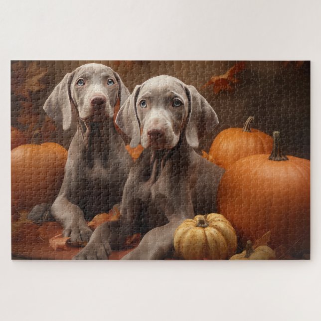 Weimaraner Welpe Autumn Delight Pumpkin (Horizontal)