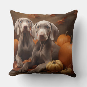 Weimaraner Welpe Autumn Delight Pumpkin Kissen