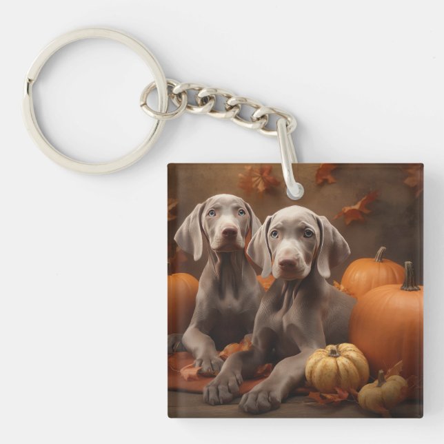 Weimaraner Welpe Autumn Delight Pumpkin Schlüsselanhänger (Vorderseite)