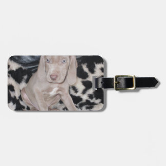 Weimaraner Welpe Gepäckanhänger