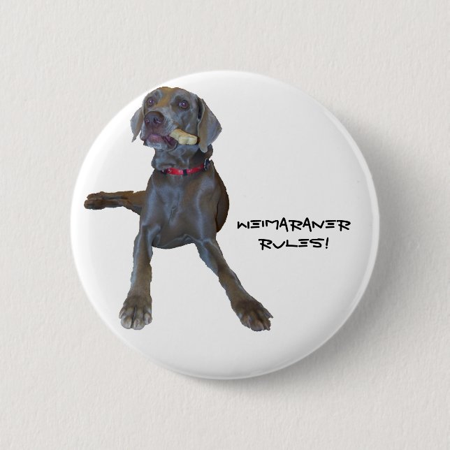 Weimaraners Regel! Button (Vorderseite)