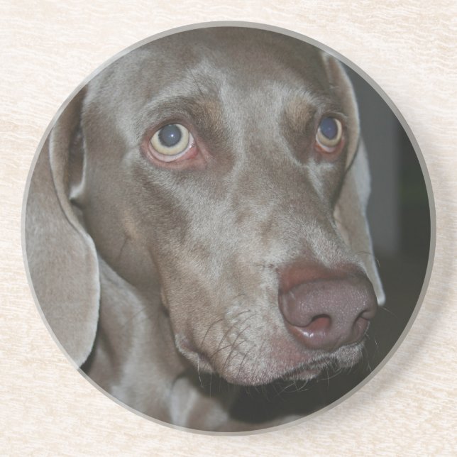 Weimeraner HundeUntersetzer Getränkeuntersetzer (Vorne)