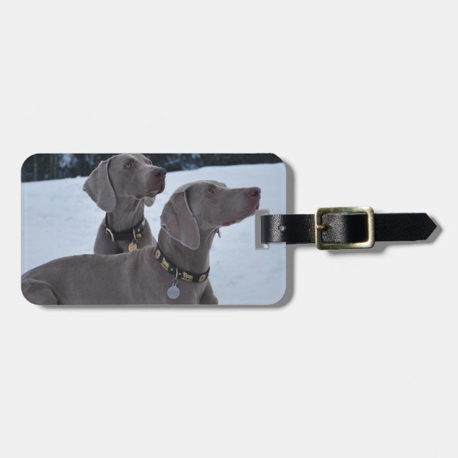 Weimeraner im Schnee Gepäckanhänger (Vorderseite horizontal)