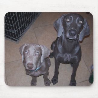 weimeraners mousepad