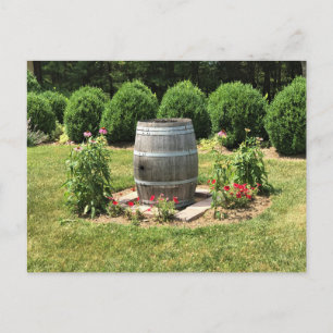Wein Barrel Garden Deco, Chateau Morrisette, VA Postkarte