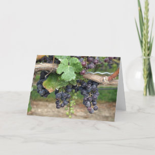 Wein im Weinkeller Karte