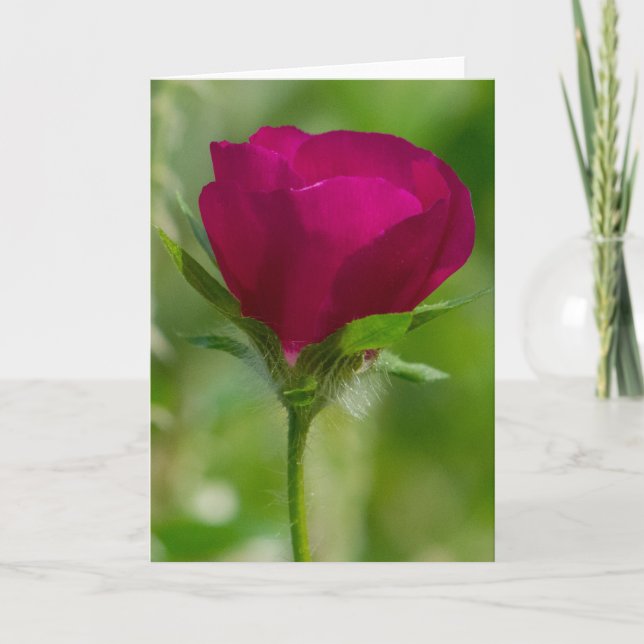 Wein-Schalen Karte (Vorderseite)