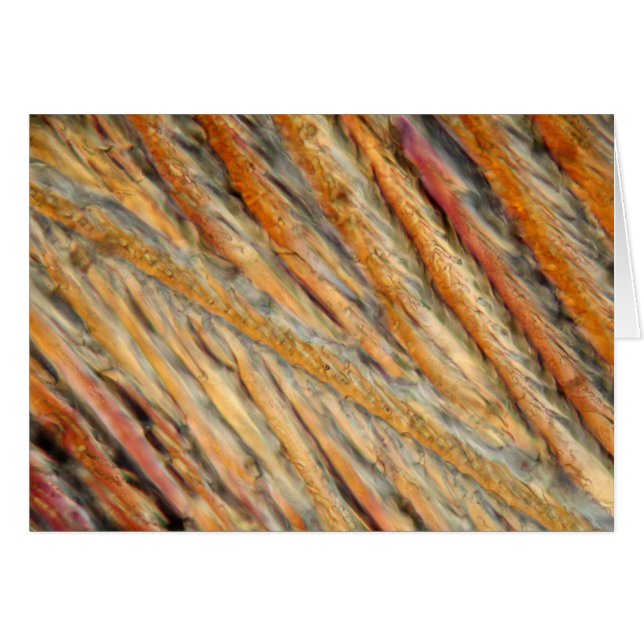 Wein unter dem Mikroskop - Chardonnay (Vorderseite (Horizontal))