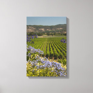 Wein-Weinberg und lila Blumen Leinwanddruck